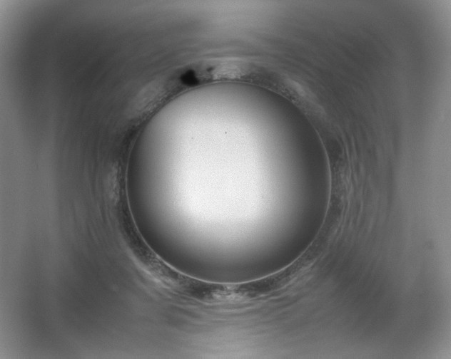 X0000067830311200604171134