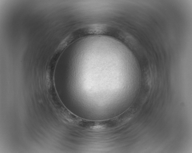 X0000067830312200604171134