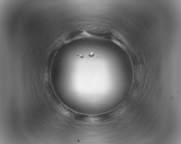 X0000067830313200604171134