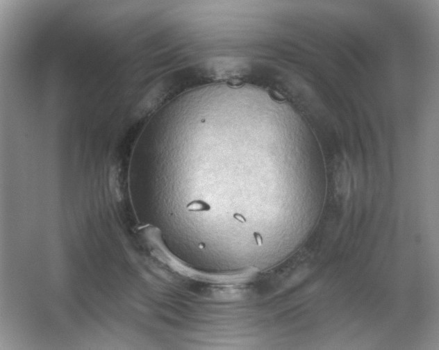 X0000067830316200604171134