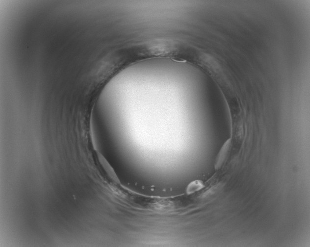 X0000067830317200604171134