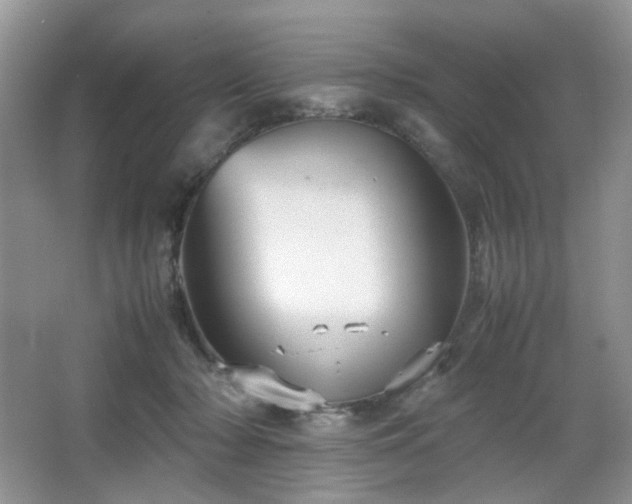 X0000067830318200604171133