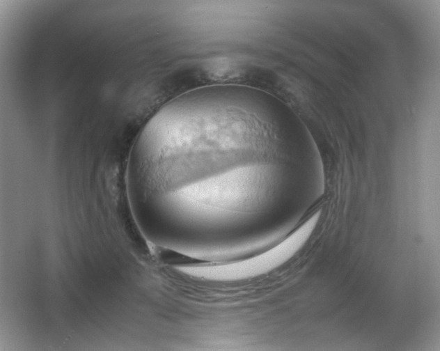 X0000067830319200604171133