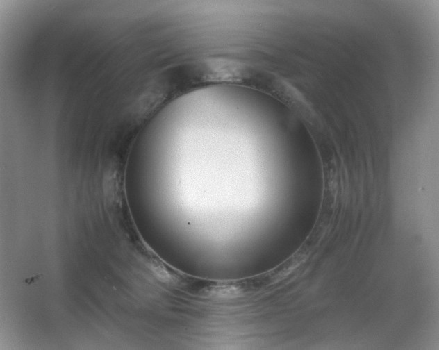 X0000067830322200604171133