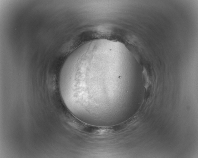 X0000067830323200604171133