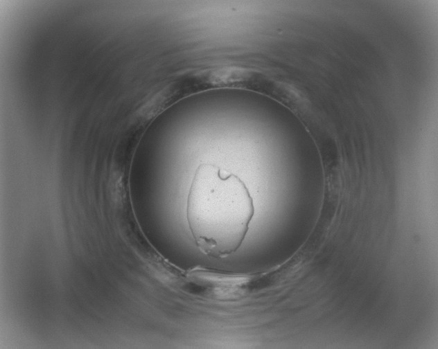 X0000067830327200604171133