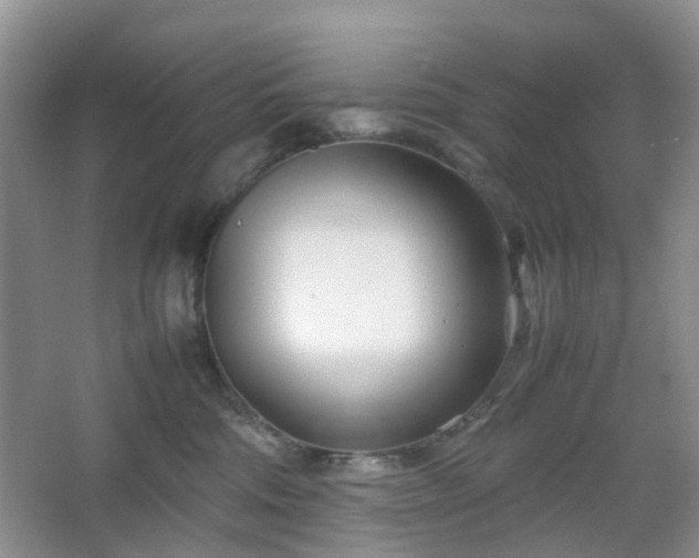 X0000067830330200604171133