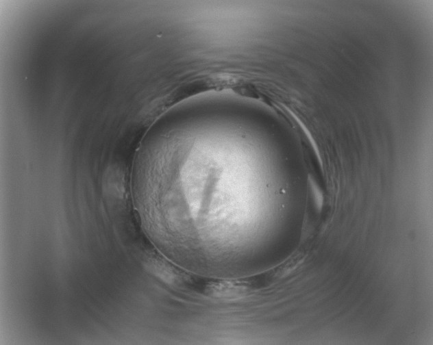 X0000067830331200604171133