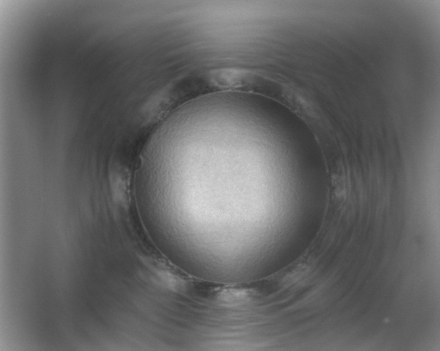 X0000067830332200604171133