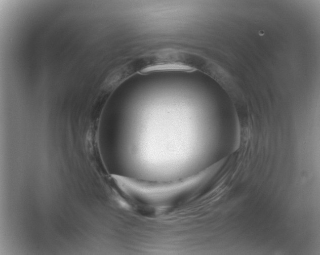 X0000067830333200604171133