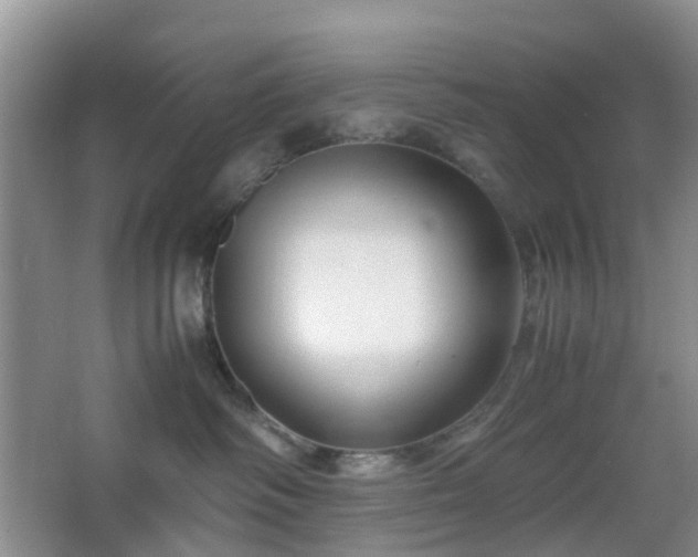 X0000067830334200604171133