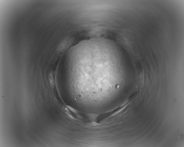 X0000067830335200604171133