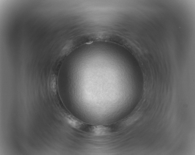 X0000067830336200604171133