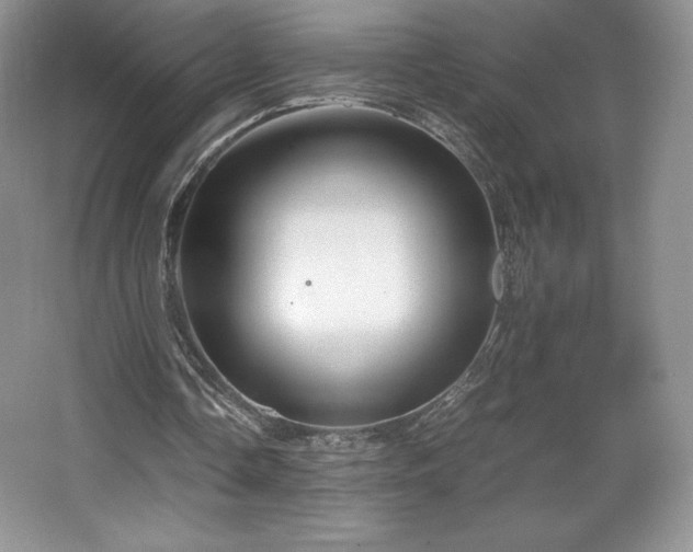 X0000067830338200604171132