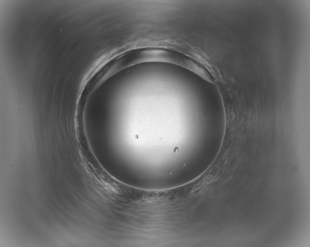 X0000067830340200604171132