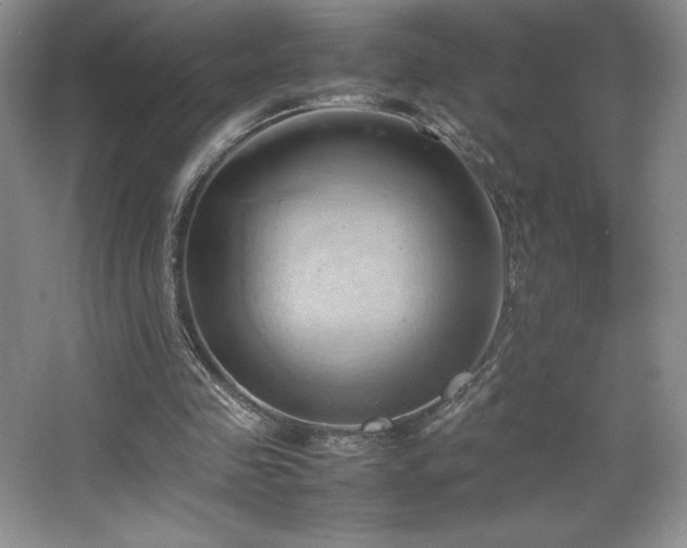 X0000067830341200604171132