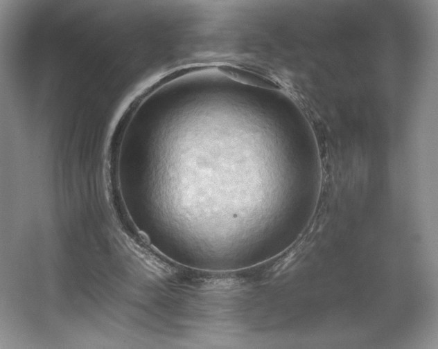 X0000067830342200604171132