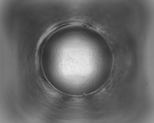 X0000067830343200604171132