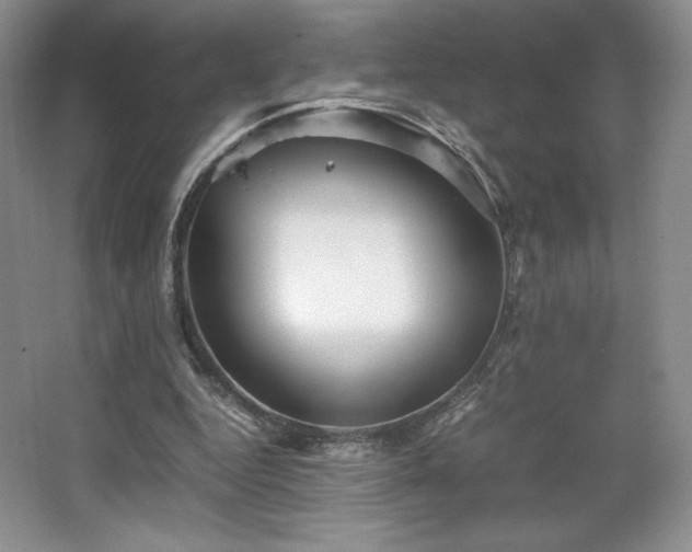 X0000067830344200604171132