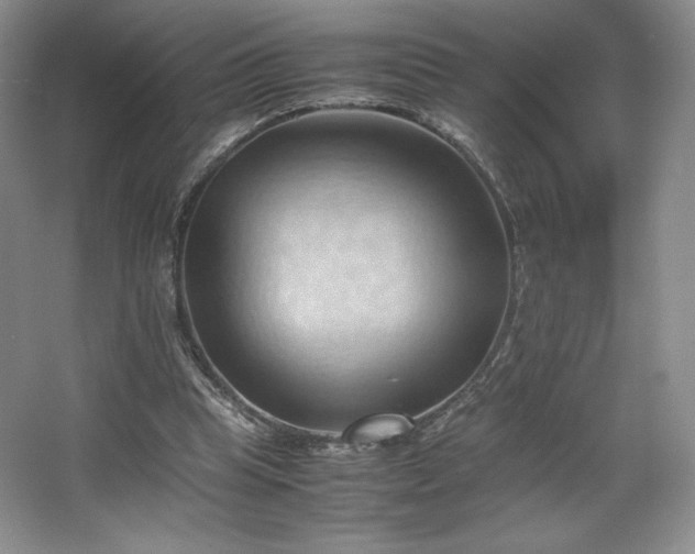 X0000067830345200604171132