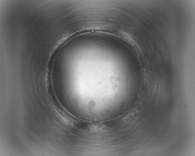 X0000067830346200604171133