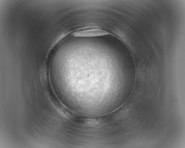 X0000067830347200604171133