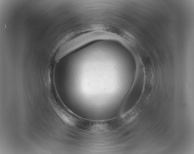 X0000067830350200604171133