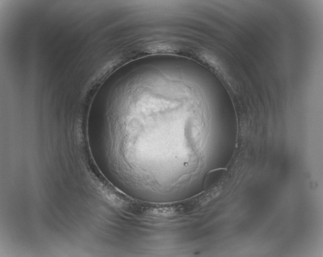 X0000067830353200604171133