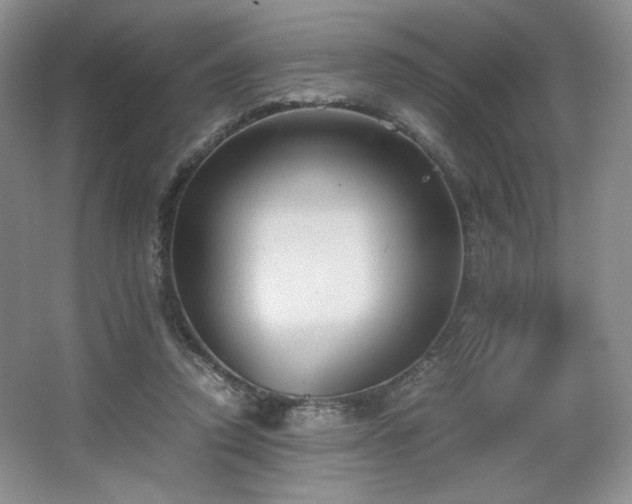 X0000067830354200604171133