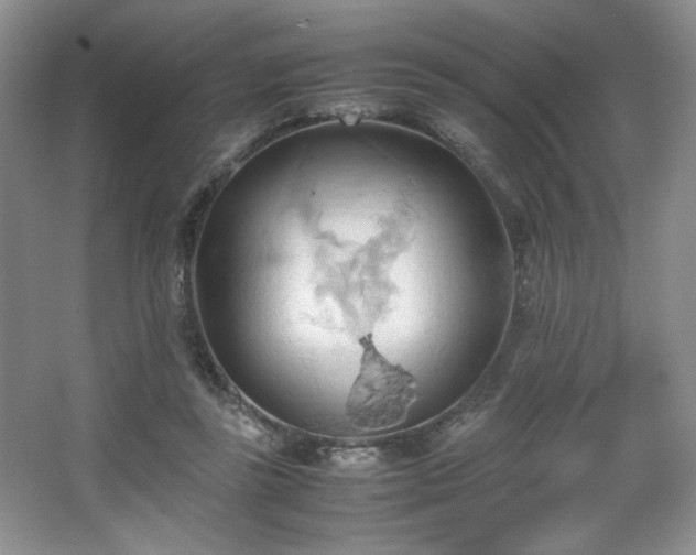 X0000067830355200604171133