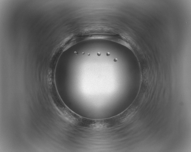 X0000067830356200604171133