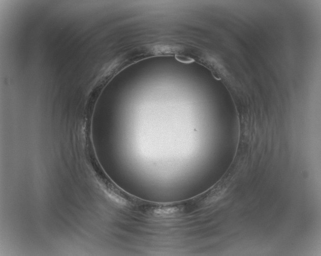 X0000067830357200604171133