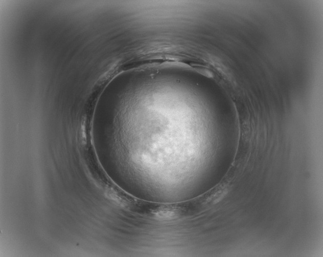 X0000067830358200604171133