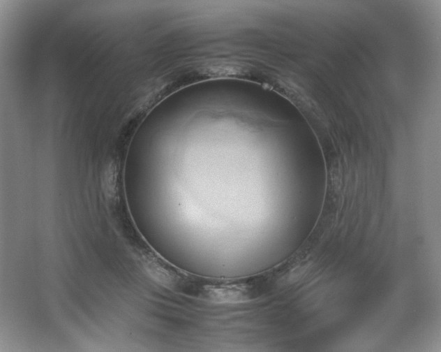 X0000067830359200604171133