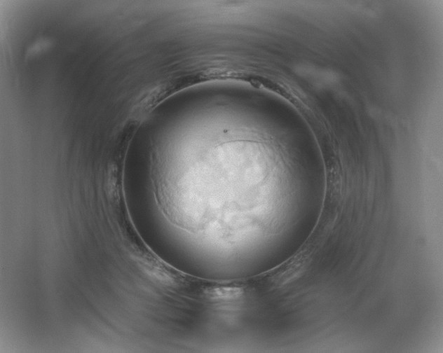 X0000067830361200604171133