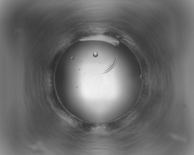 X0000067830362200604171133