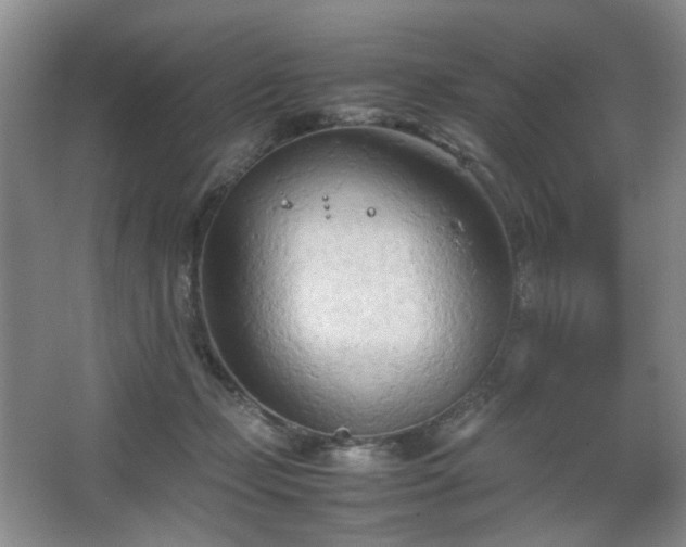 X0000067830365200604171133