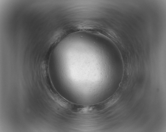 X0000067830366200604171133