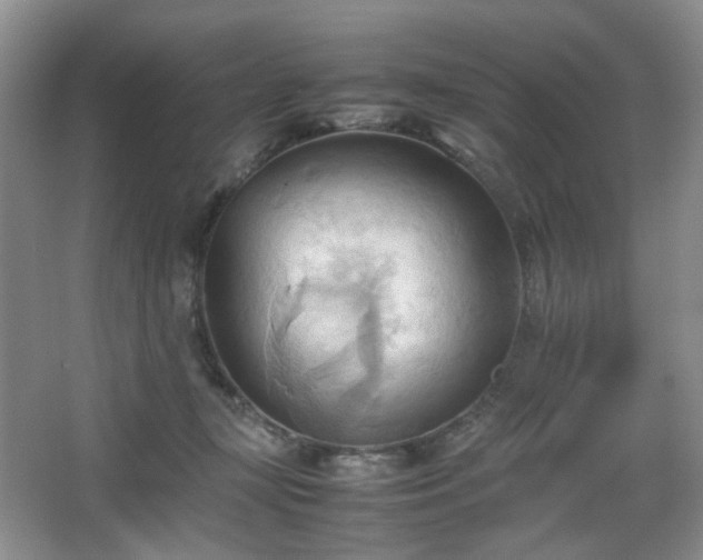 X0000067830367200604171133