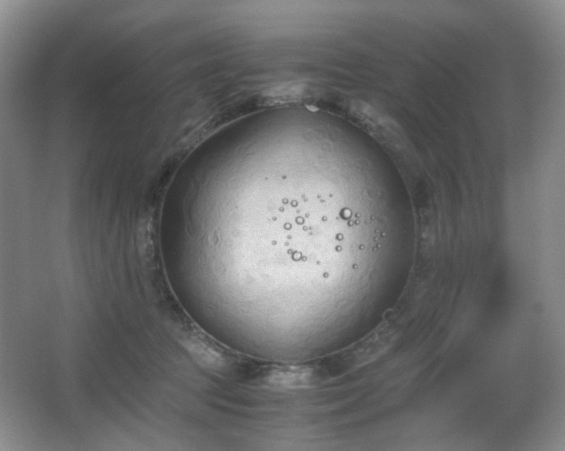 X0000067830369200604171133