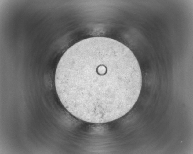 X0000067830370200604171133