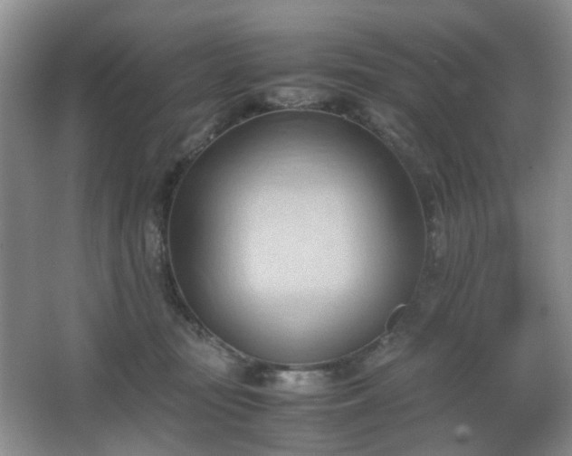 X0000067830371200604171133