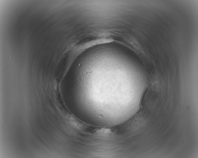 X0000067830374200604171133