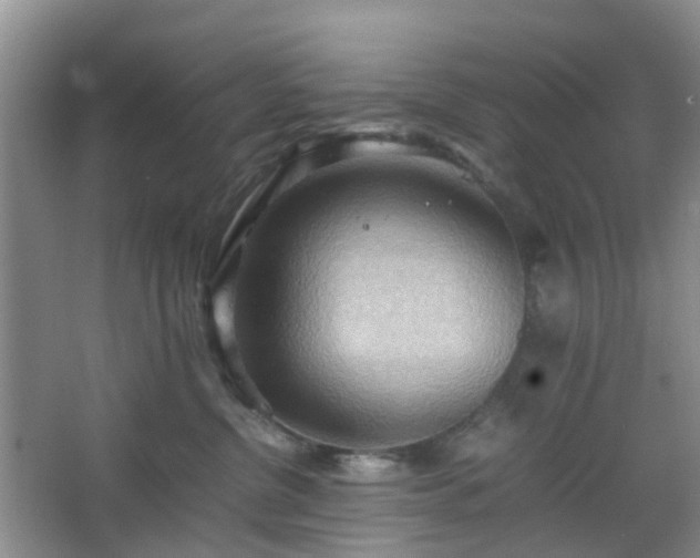 X0000067830380200604171133