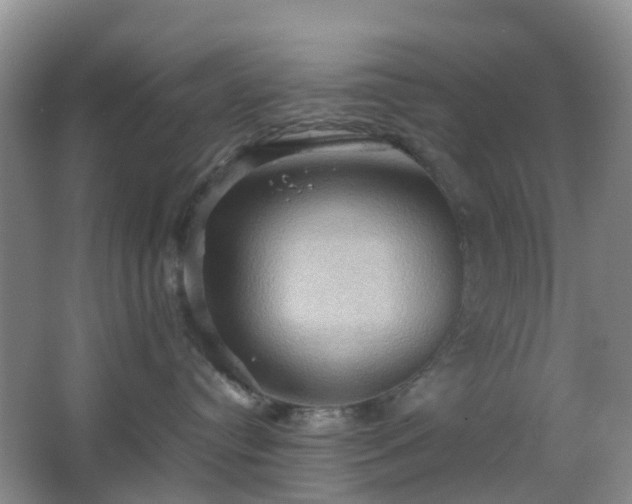 X0000067830384200604171133