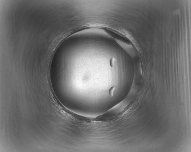 X0000067830385200604171132