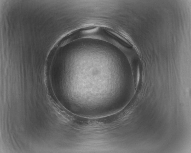 X0000067830387200604171132