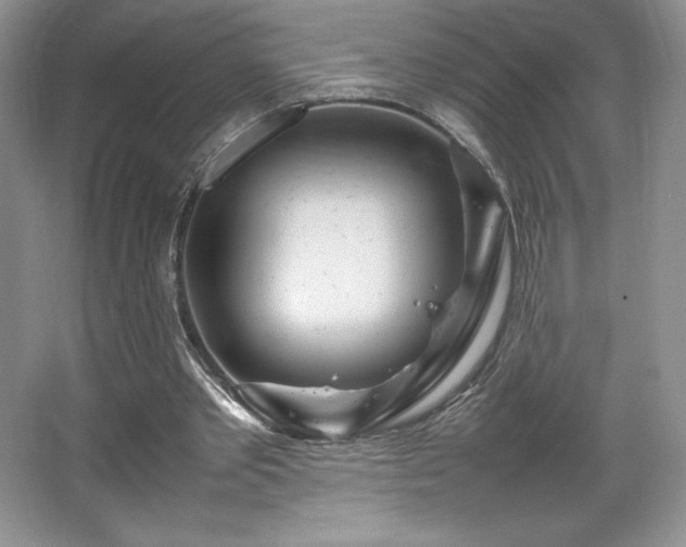 X0000067830389200604171132