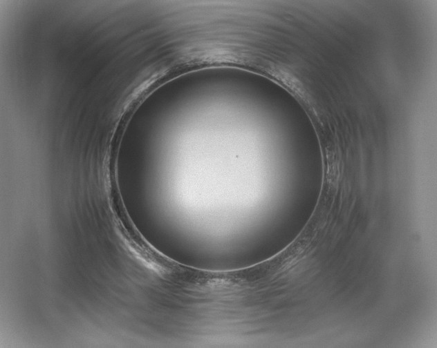 X0000067830390200604171132