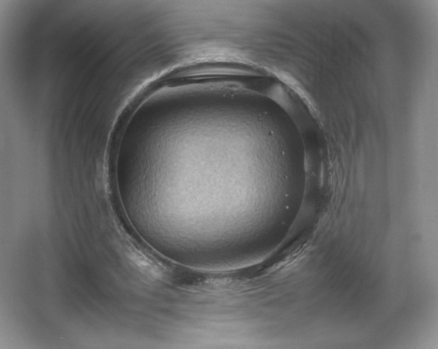 X0000067830391200604171132